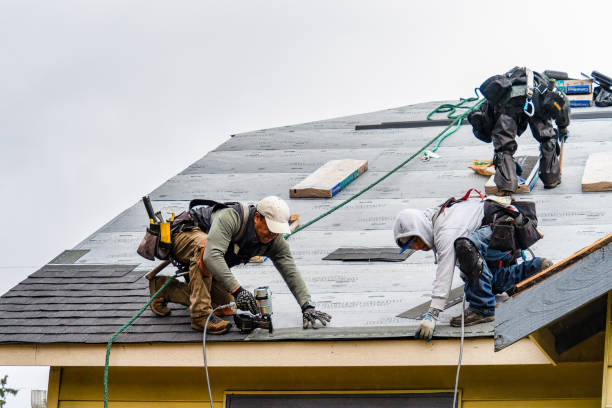 Professional Gutter Installation technician working in Maxwell, CA